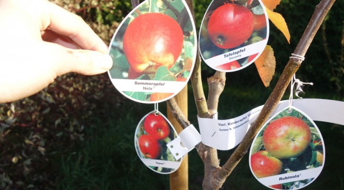 Folgen kommerzieller Obstbaumzucht
